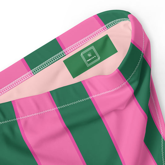Watermelon high-waisted bikini bottom in pink & green stripes